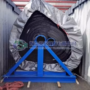 Băng lọc EPDM chất lượng cao dành cho xử lý nước trong nhà máy sản xuất phosphate hình ảnh 24-description