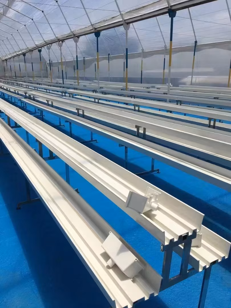 Phương pháp trồng dâu tây bằng hệ thống nhựa NFT trong môi trường nông trại hình ảnh 25-description