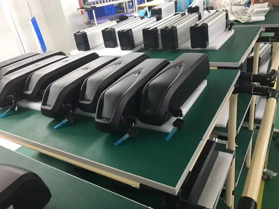 Pin dự phòng 2600mAh phù hợp với máy hút bụi Rowenta 900866 Robot Explorer 20 hình ảnh 10-description