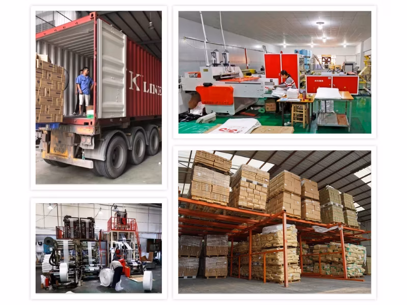 Túi phân cho chó phân hủy sinh học, giải pháp thân thiện với môi trường hình ảnh 26-description