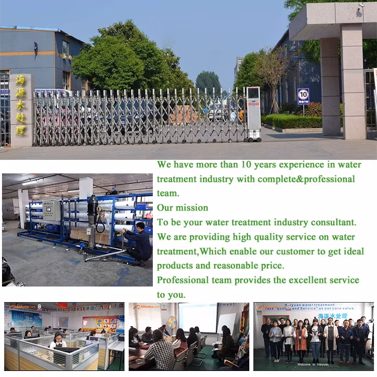 Giải pháp xử lý nước giếng muối hiệu quả với hệ thống 45m3pH thẩm thấu ngược, máy lọc nước tinh khiết và thiết bị nhà máy nước RO hình ảnh 27-description