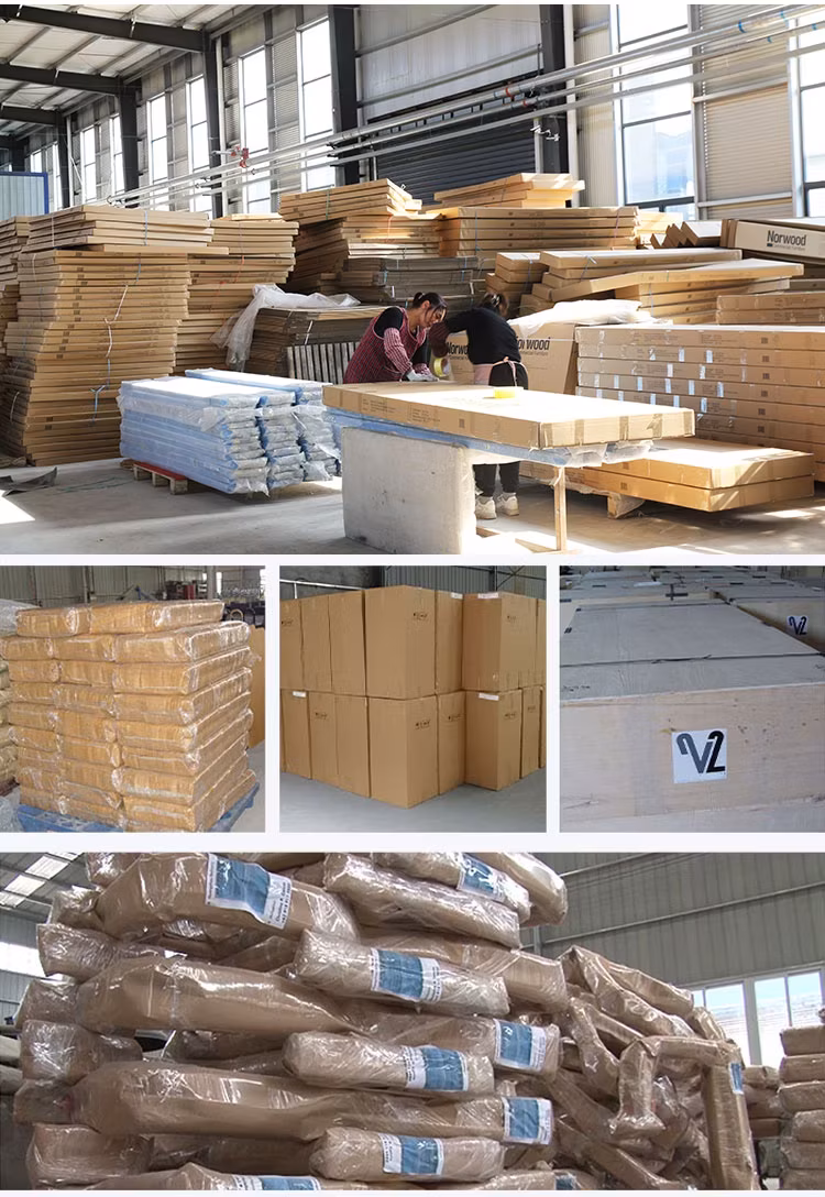 Lưới cây đa năng cho việc trang trí ngoại thất, lưới cây thảm mô tả không gian xanh hình ảnh 27-description
