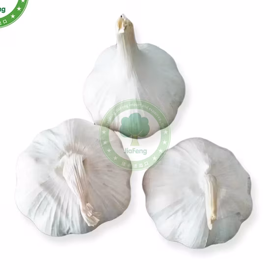 Tỏi trắng thông thường từ khu vực sản xuất gừng tỏi Sơn Đông, Trung Quốc - Sản phẩm chất lượng từ nhà máy