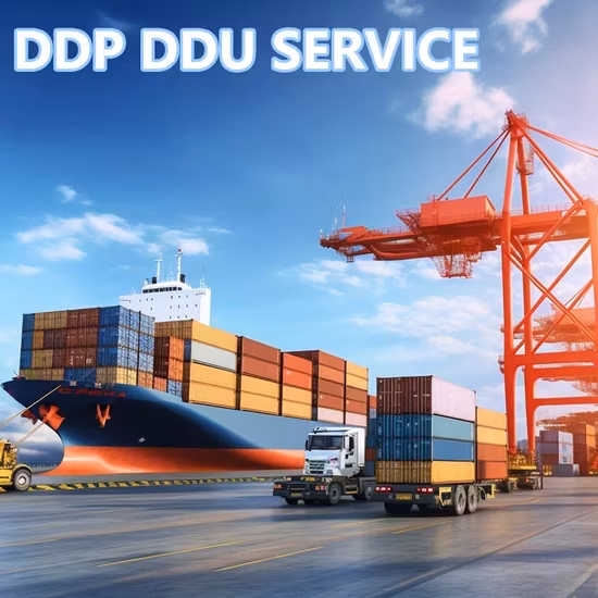 Dịch vụ vận chuyển chuyên nghiệp từ Trung Quốc đến Ý: Đại lý chuyển phát đáng tin cậy cho đường biển và hàng không