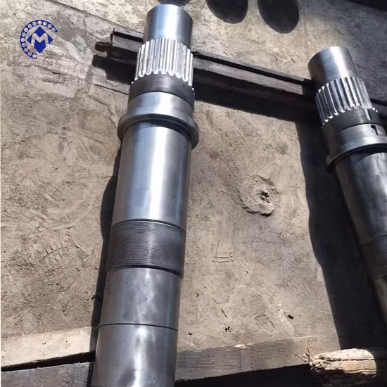 Đúc theo yêu cầu: Truyền động biển răng cưa cuộn tốt nhất từ Trung Quốc