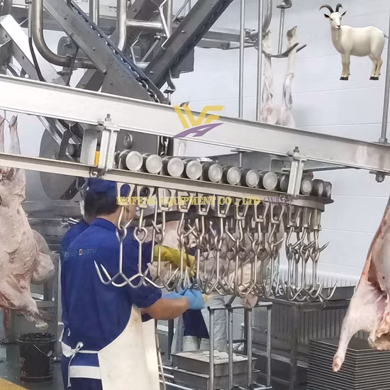 Dây chuyền giết mổ cừu hàng ngày cho lò mổ dê - Dịch vụ chất lượng từ máy móc lò mổ thịt cừu