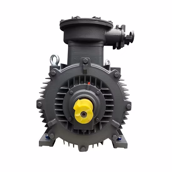Động cơ ba pha điện nổ an toàn từ 0.55kw đến 15kw, sản phẩm chống cháy AC không đồng bộ cảm ứng với 4p