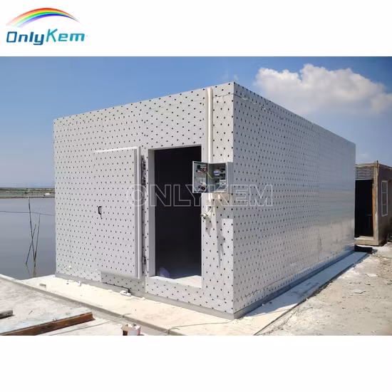 Giải pháp lưu trữ thực phẩm tối ưu cho nhà hàng: Phòng lạnh bếp và Tủ lạnh đi bộ chuyên dụng