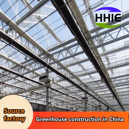 Nhà máy sản xuất nhà kính hiện đại dành cho việc xuất khẩu vào thị trường Đông Nam Á