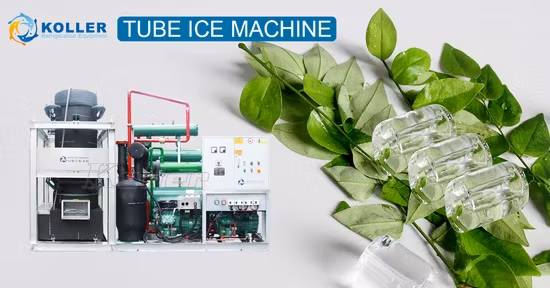 Băng tải cao su PU tự động hóa - Giải pháp công nghiệp cho nhà máy sản xuất đá viên hình khối