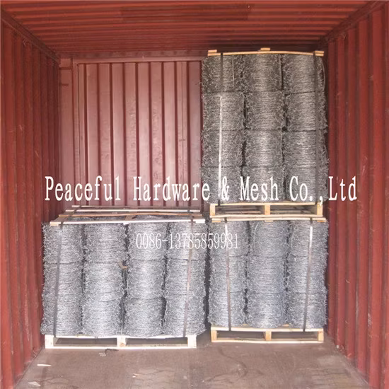 Dây thép gai mạ kẽm hoặc PVC chất lượng cao từ nhà máy sản xuất chuyên nghiệp