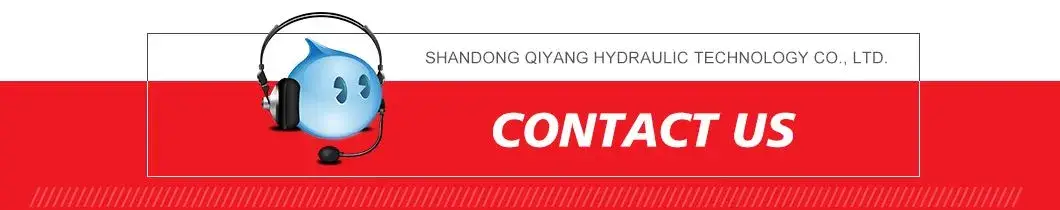 Thang nâng ô tô thủy lực cố định 3.5 tons dành cho việc đậu xe trong nhà hình ảnh 27-description