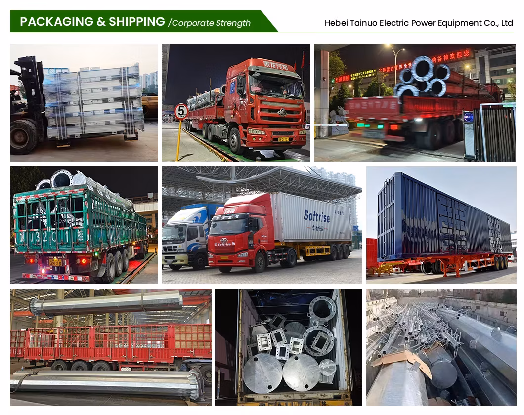 Tháp thép viễn thông Tainuo Trung Quốc: Sản phẩm tháp cây ngụy trang hình trụ từ nhà phân phối hình ảnh 32-description