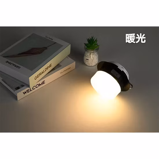 Bóng đèn LED năng lượng mặt trời 50W với chip LED độ sáng cao và thiết kế đỉnh phẳng cho kho bãi, cắm trại và chợ đêm