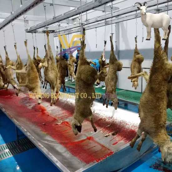 Dây chuyền giết mổ cừu hàng ngày cho lò mổ dê - Dịch vụ chất lượng từ máy móc lò mổ thịt cừu