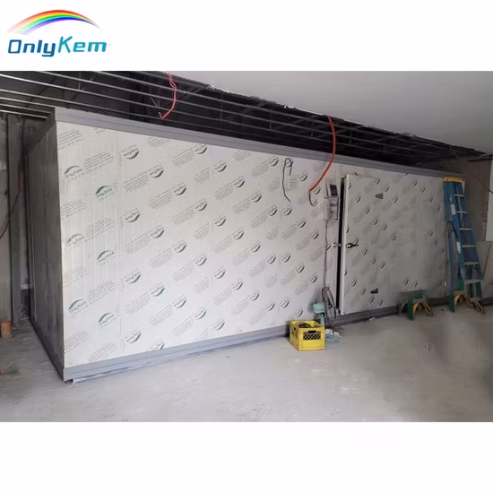 Giải pháp lưu trữ thực phẩm tối ưu cho nhà hàng: Phòng lạnh bếp và Tủ lạnh đi bộ chuyên dụng
