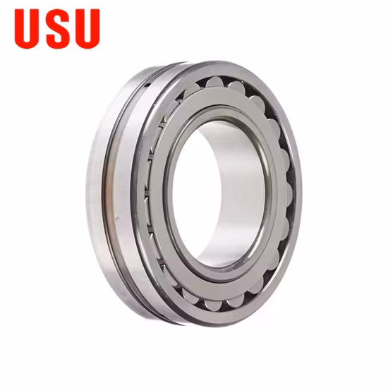 Vòng bi Trung Quốc 21304 Ca, 21305 Cc, 21306 E,... MB 21313 21314 21315 21316 21317 21318 21319cc/W33 - Sản phẩm vòng bi con lăn định hướng