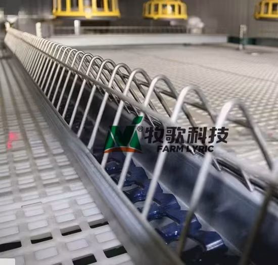 Thiết Bị Chăn Nuôi Gia Cầm Với Lưới Xích Tuỳ Chỉnh - Giải Pháp Hiệu Quả Và Tiết Kiệm Chi Phí
