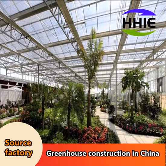 Nhà máy sản xuất nhà kính hiện đại dành cho việc xuất khẩu vào thị trường Đông Nam Á