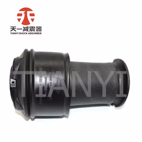 Bộ phuộc khí số 1 cho phần sau xe Citroen C4