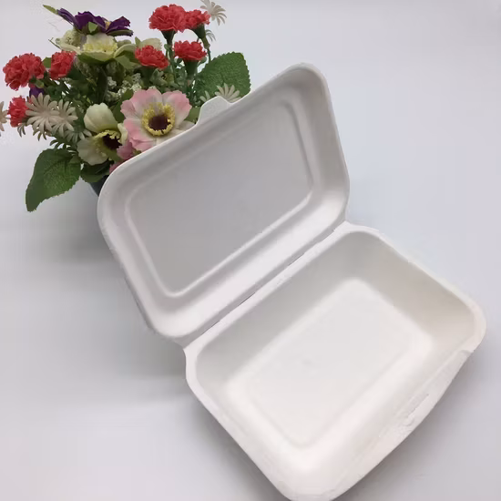 Hộp thực phẩm kích thước 9′ ′ X6′ ′ là sản phẩm được làm từ bã mía phân hủy sinh học và có khả năng phân hủy compost