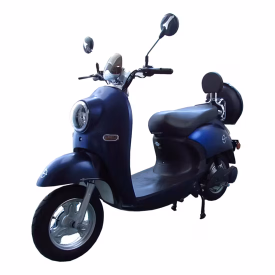 Xe đạp truyền động cổ điển COC Máy xay thịt 1500W - Chế độ xem, tốc độ 45km/H Motos E scooters Châu Âu
