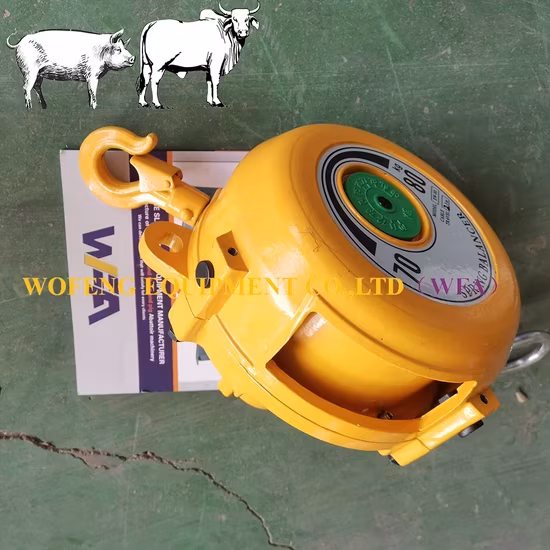 Máy giết mổ heo chất lượng cao, thiết bị chế biến thịt heo hiệu quả, cưa phân nửa thân heo cho máy chế biến thịt heo