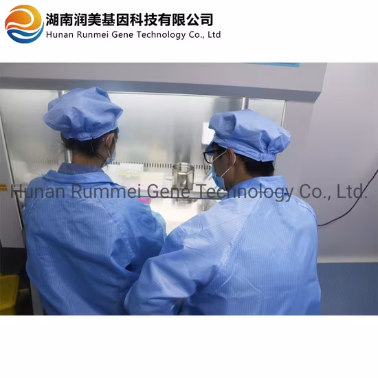 Bộ xét nghiệm nhanh kháng thể IgG IgM được chứng nhận bởi FDA, phù hợp cho việc tự kiểm tra tại nhà