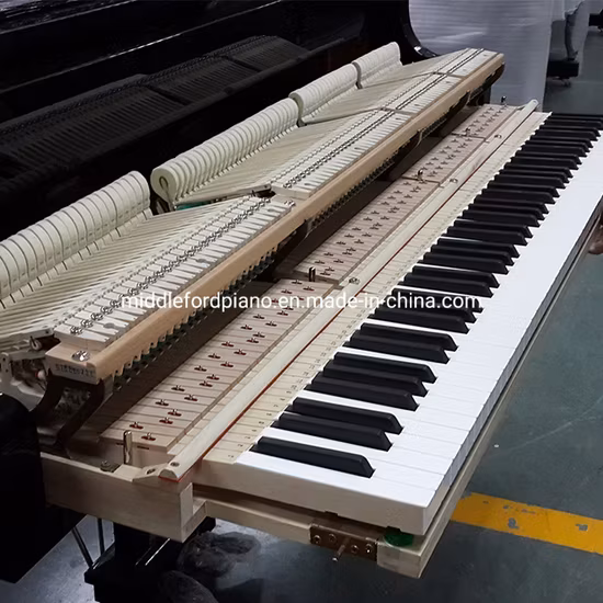Đàn piano Middleford Gp-148e baby grand âm thanh acoustic chất lượng tốt