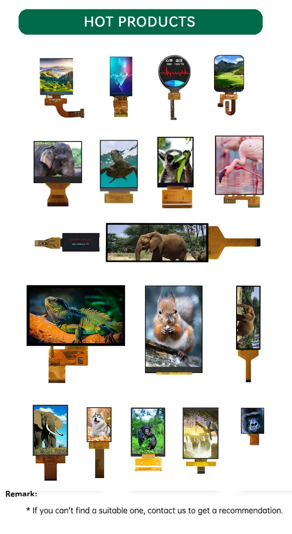 Hiển Thị Màn Hình Amoled OLED 4.3 Inch 540 * 960 Màu Sắc Màn Hình Dọc Mô-đun Giao Diện Mipi hình ảnh 12-description