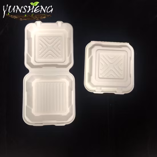 Hộp đựng cơm sinh học một lần từ tre hoặc bã mía, là lựa chọn hoàn hảo cho bữa tối và đồ ăn mang đi