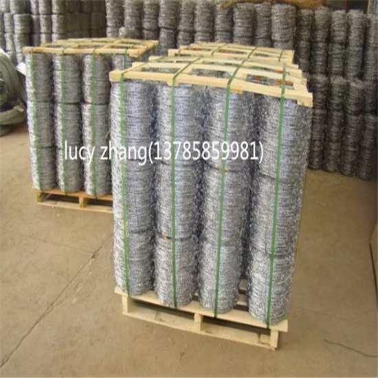 Dây thép gai mạ kẽm hoặc PVC chất lượng cao từ nhà máy sản xuất chuyên nghiệp