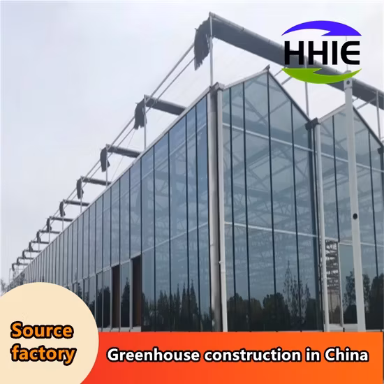 Nhà máy sản xuất nhà kính hiện đại dành cho việc xuất khẩu vào thị trường Đông Nam Á