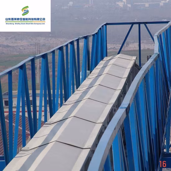 Thiết bị băng tải kéo hạt chất lượng cao cho ngũ cốc, lúa mì, ngô, lúa, gạo
