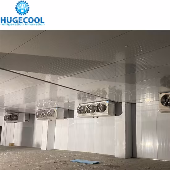 Tủ đông phòng lạnh chất lượng cao với hệ thống bảo quản lạnh cho giá trị lưu trữ tối ưu