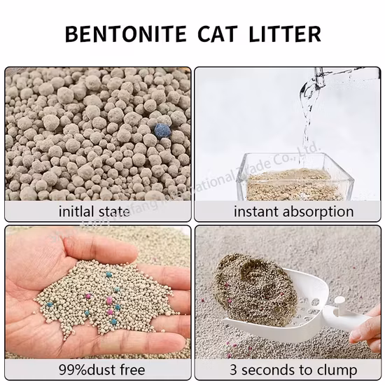 Sản phẩm cát vệ sinh cho mèo bentonite chất lượng cao, hấp thụ nhanh và không dính từ nhà sản xuất