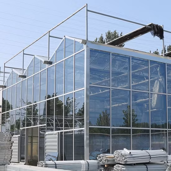 Giải pháp kính nông nghiệp toàn diện cho việc trồng trái cây