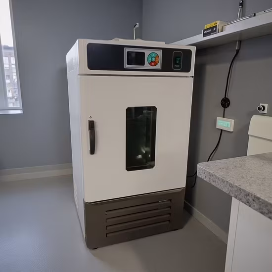 Máy ấp nhiệt độ và độ ẩm Lhs: Sự ổn định và chính xác cao với chất lượng hàng đầu