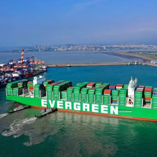 Dịch vụ vận chuyển chuyên nghiệp từ Trung Quốc đến Ý: Đại lý chuyển phát đáng tin cậy cho đường biển và hàng không