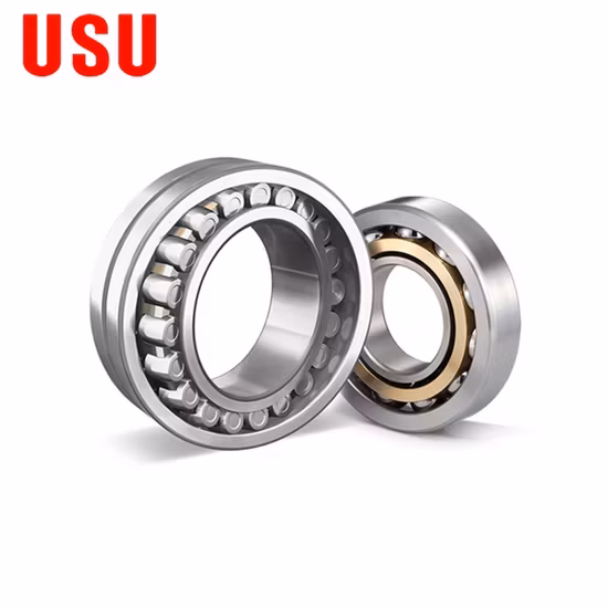 Vòng bi Trung Quốc 21304 Ca, 21305 Cc, 21306 E,... MB 21313 21314 21315 21316 21317 21318 21319cc/W33 - Sản phẩm vòng bi con lăn định hướng