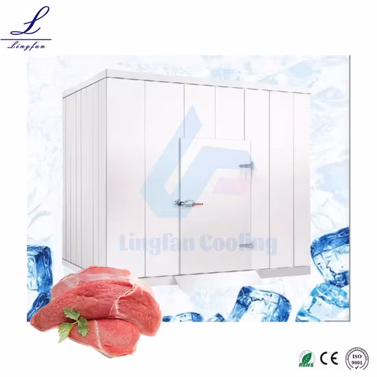 Bảng Sandwich PU Thực Phẩm Tủ Lạnh Đi Bộ - Lý tưởng cho việc lưu trữ rau củ và trái cây trong nhà hàng và phòng lạnh