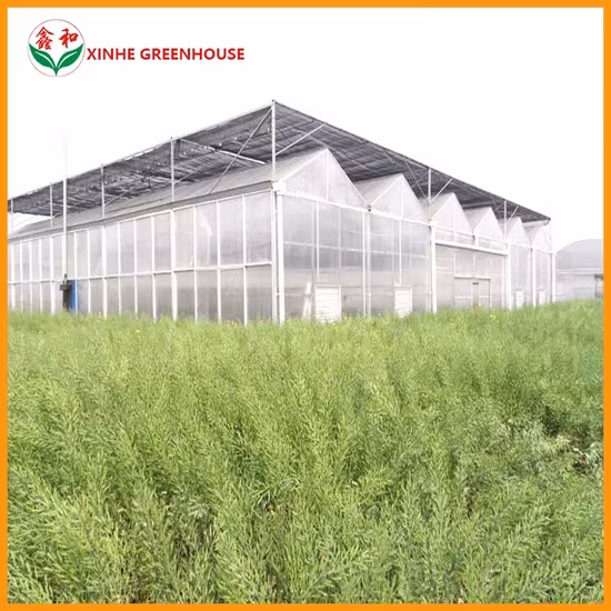 Ống mạ kẽm nhúng nóng nhà kính tùy chỉnh cho cà chua: Sản phẩm chất lượng với mức giá ưu đãi