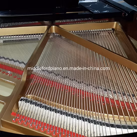 Đàn piano Middleford Gp-148e baby grand âm thanh acoustic chất lượng tốt