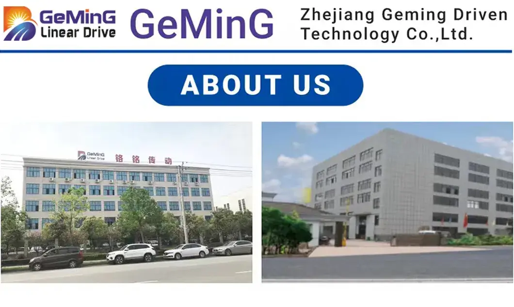 Cần Cẩu Geming 1 với Nền Tảng Nâng Cột kích thước 100*100 và tốc độ 5-100mm/S hình ảnh 19-description