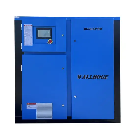 Bơm khí nén hai cấp áp suất thấp truyền động bằng nam châm vĩnh cửu - Tiết kiệm năng lượng hình ảnh 1-description
