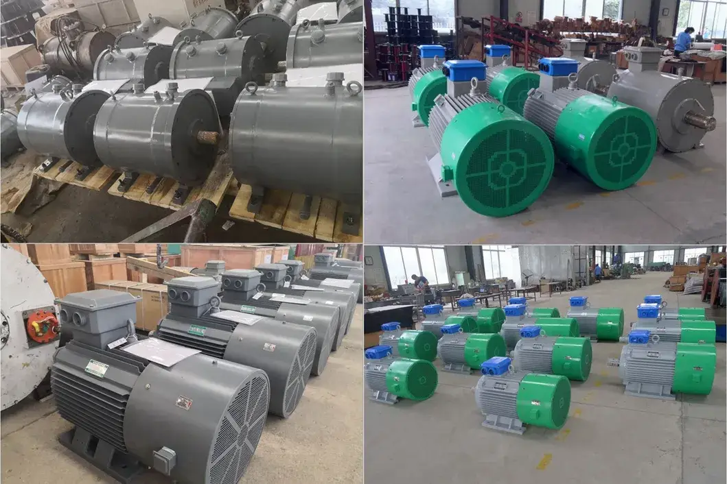 Máy phát điện nam châm vĩnh cửu 50kw: Thiết bị hoạt động hiệu suất cao và tốc độ thấp cho năng lượng thủy điện hình ảnh 20-description