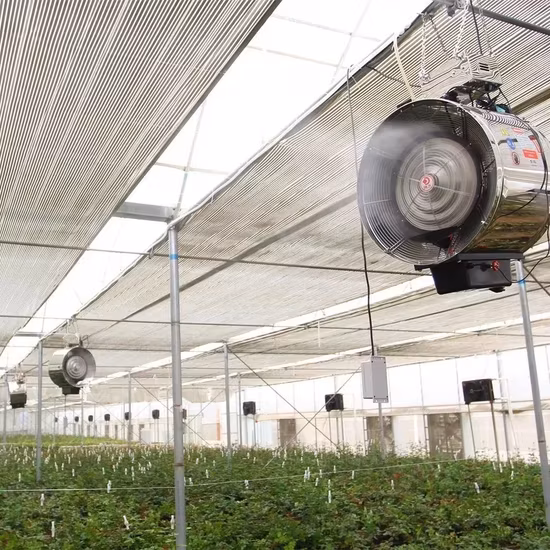 Phim nhà kính chất lượng cao dành cho việc hầm nhựa trái cây và cà chua trong nông nghiệp