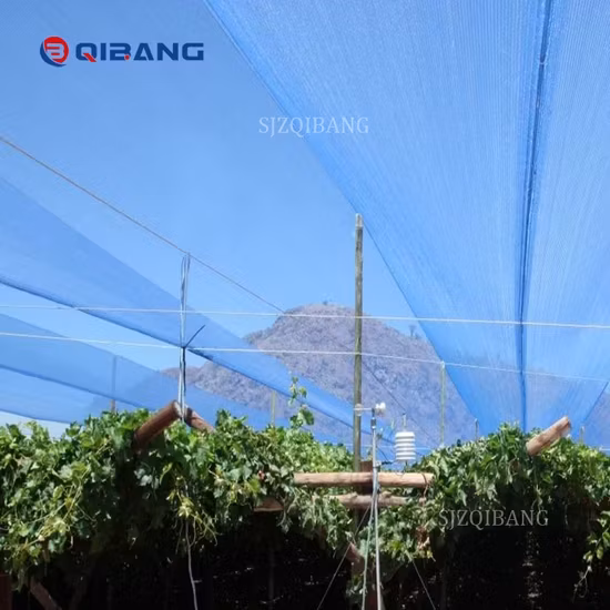Vải che nắng màu xanh: Sản phẩm chất lượng bảo vệ UV cho bãi đỗ xe, nhựa polyethylene, vườn thủy canh và việc trồng cây