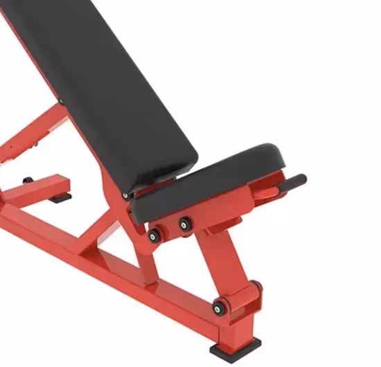 Băng ghế tập tạ đa năng PRO Style cho lưng và cơ ngực