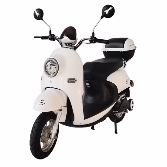 Xe đạp truyền động cổ điển COC Máy xay thịt 1500W - Chế độ xem, tốc độ 45km/H Motos E scooters Châu Âu